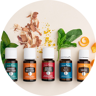 Aroma Freedom